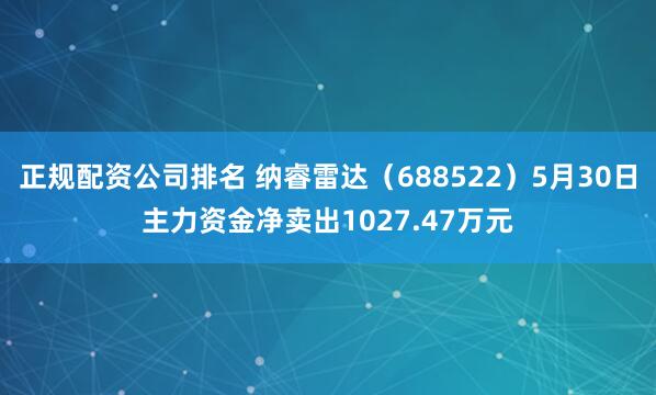 正规配资公司排名 纳睿雷达（688522）5月30日主力资金净卖出1027.47万元